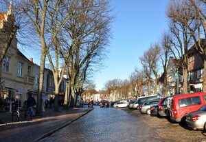 Burg und Burgstaaken – Schönes Ferienhaus "Viva" in Burg auf Fehmarn für 6 Personen mit 3 SZ & Garten
