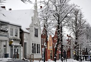 Burg und Burgstaaken – Schönes Ferienhaus "Viva" in Burg auf Fehmarn für 6 Personen mit 3 SZ & Garten