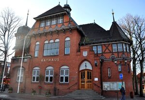 Burg und Burgstaaken – Schönes Ferienhaus "Viva" in Burg auf Fehmarn für 6 Personen mit 3 SZ & Garten
