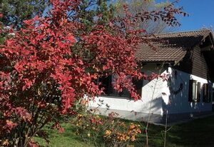 Ferienhaus Gamssteige im Feriendorf Reichenbach (G32) – Geräumiges Ferienhaus mit 3 Schlafzimmern (G32)