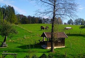 Holzerhof – Biedermeier