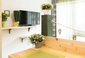Wildgrün Mini Lodge 2