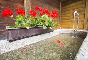 Chalet Waldstadl/ Andrea's Woidhaisl – Chalet Waldstadl