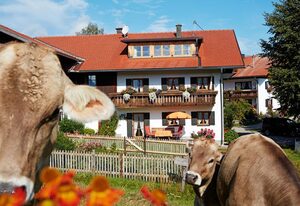 Kögel, Ferienhaus – Ferienwohnung Edelsberg, 2 SZ, Bad/DU/WC
