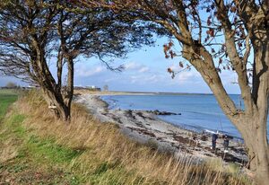 Marienleuchte – Ferienhaus StrandGUT für 6 Personen und Hund mit Garten & Terrasse - strandnah!