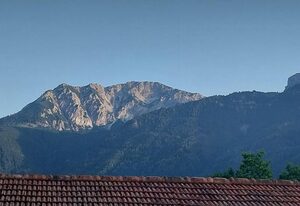 Wildgrün – Maxi Lodge 12