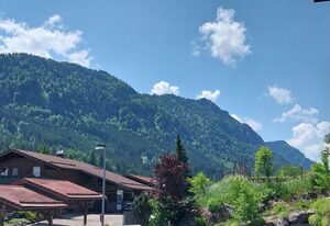 Wildgrün – Maxi Lodge 12