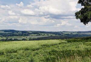 Drebach
