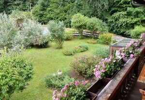 Haus Waldblick – Ferienwohnung Wald