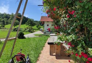 Unterwildenriederhof – Ferienwohnung Hochries, Balkon, eigener Eingang, 1 Schlafzimmer, Wohn/Schlafraum
