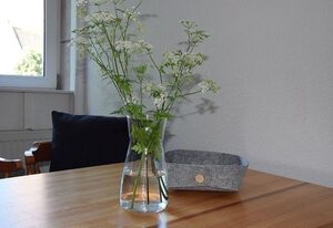 Möwe