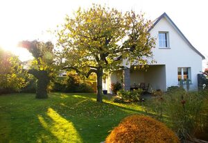 Ferienhaus Hummel-Nest
