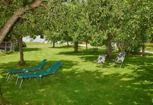 Beim Dobler – Appartement Ringelblume, 20qm, 1. Obergschoss, kombinierter Wohn-Schlafraum