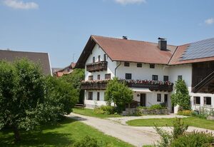 Beim Dobler – Appartement Ringelblume, 20qm, 1. Obergschoss, kombinierter Wohn-Schlafraum