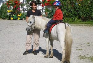 Wimmerhof – Ferienwohnung "Hartsee", 44 qm Obergeschoss, 1 separates Schlafzimmer