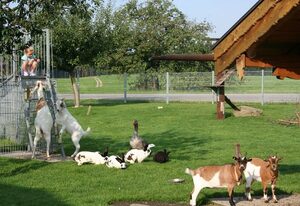 Wimmerhof – Ferienwohnung "Hartsee", 44 qm Obergeschoss, 1 separates Schlafzimmer
