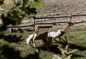 Haslauer Hüttn – Hütte 40qm, 2 Schlafzimmer, Küche, Garten, W-LAN