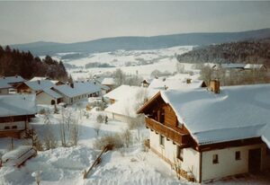 Fewo mit malerischem Bergblick im Bayerischen Wald – Whg. 24, 2.OG, 2 Zi., Bischofsmais