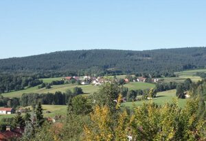 Fewo mit malerischem Bergblick im Bayerischen Wald – Whg. 24, 2.OG, 2 Zi., Bischofsmais