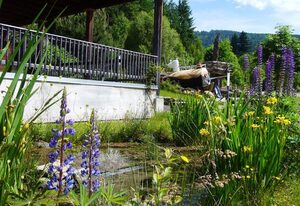 Ferienwohnungen Schönbachtal – Ferienwohnung Melodie (73qm) für max. 5 Personen mit großen Balkon
