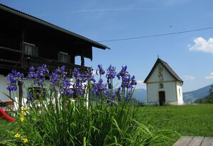 Trojerhof – Ferienwohnung In der Stube  (28qm)