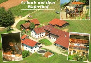Woferlhof, Ferienhof Boxhorn – Hofblick