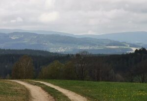 Woferlhof, Ferienhof Boxhorn – Hofblick