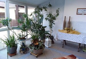 Gasthof Alte Post – Doppelzimmer