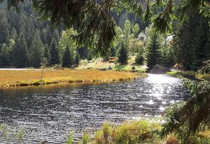 Beim Wartner - CHALETS & SUITEN – Luxus Chalet Forsthaus mit Whirlpool