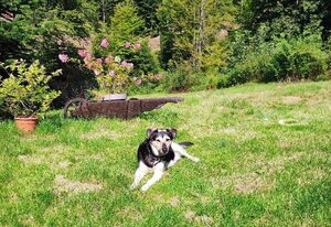 Helga's Candy Ranch – Ferienwohung Jamara
