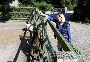 Ferienhaus für die Großfamilie oder Gruppenhaus auf dem Ferien- und Bauernhof Nielson in Inselmitte