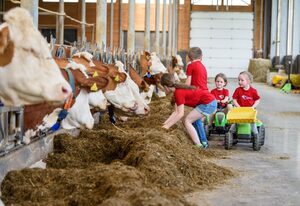 Almerhof - Waldferienhof Almer – Ferienwohnung Fichte