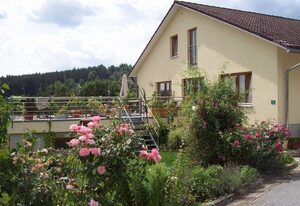 Ferienwohnung Falkenstein