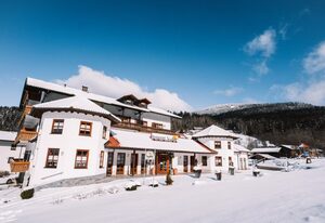 Wellness- und Wohlfühlhotel Waldeck – Einzelzimmer Kaitersberg