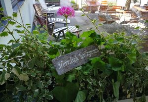HopfenErlebnisHof Gästehaus – Appartement 5 (38 qm) mit Balkon