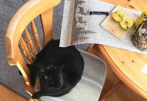 FW Margarete – Ferienwohnung Nr. 4
