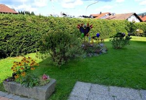 Gästehaus Jutta (Jungwirt) – Ferienwohnung Nr. 4 (35qm) für bis zu 3 Personen