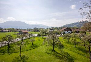 Alpenhof Landhotel – Doppelzimmer Apfelblüte, Balkon