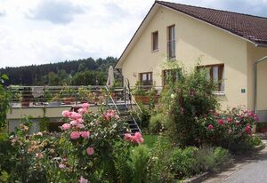 Haus Hollerbusch – Ferienwohnung Falkenstein