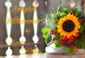 Bauernhof König – Sonnenblume