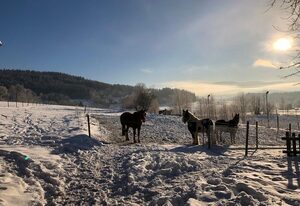 Biohof Weiderer – Chalet Zur Landfrau