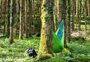 Aufm Reifnhof – Ferienwohnung Apfelbaum