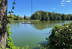 Parkblick