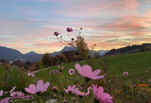 Guesthouse Paradies Samerberg – Ferienhaus mit Bergpanoramablick mit 1 Schlafzimmer