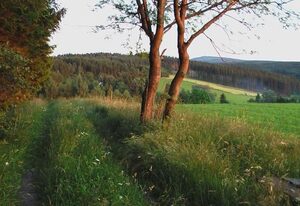 Ziller