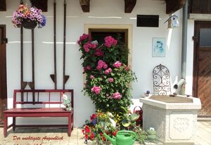 Schellenberger Hof – Einzelzimmer 10 mit Dusche/WC