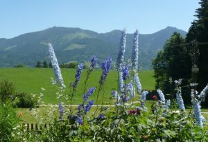 Adlerhof – Ferienwohnung Feichteck mit 2 separaten Schlafzimmern, Wohnküche, Balkon