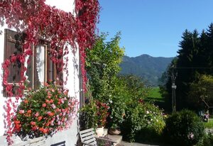 Adlerhof – Ferienwohnung Feichteck mit 2 separaten Schlafzimmern, Wohnküche, Balkon