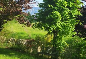 Ferienwohnungen beim Silbergersee – Ferienwohnung beim Silbergersee Nr. 1, 70 qm mit Balkon