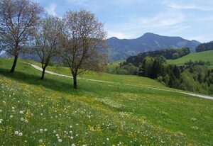 Weberhof – Ferienwohnung Alpenpanorama wahlweise mit 1 oder 2 Schlafzimmer, Balkon, 60 qm
